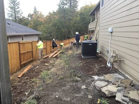Before & After Photos Of Backyard Landscaping