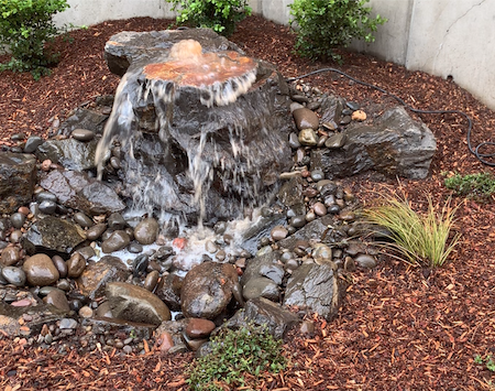Natural rock water feature in backyard