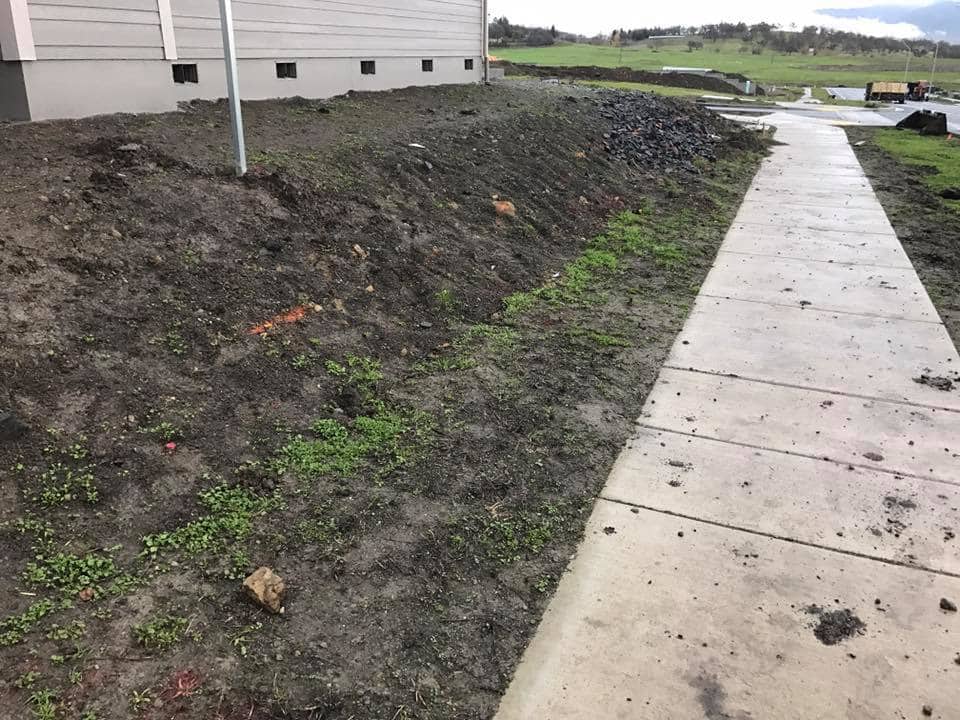 Landscaping before and after picture