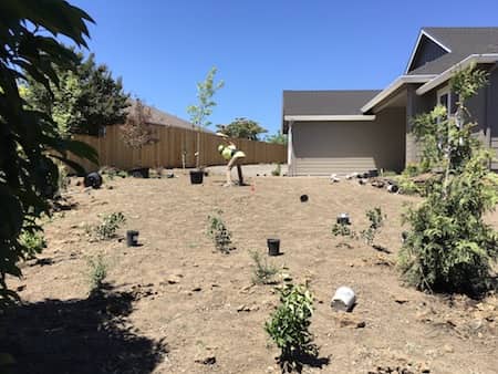 Before & After Photos Of Landscaping