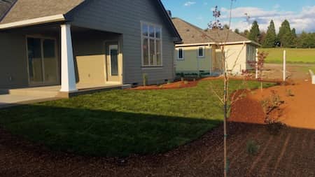 Backyard landscaping photos - before and after
