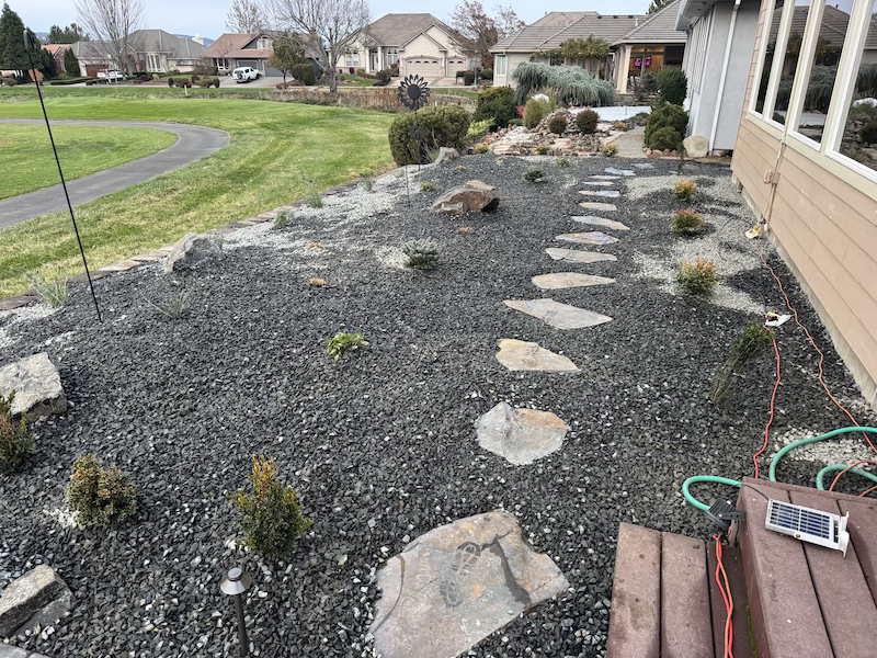 Front yard rennovation project