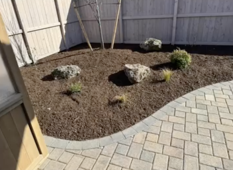 Boulder And Native Plants