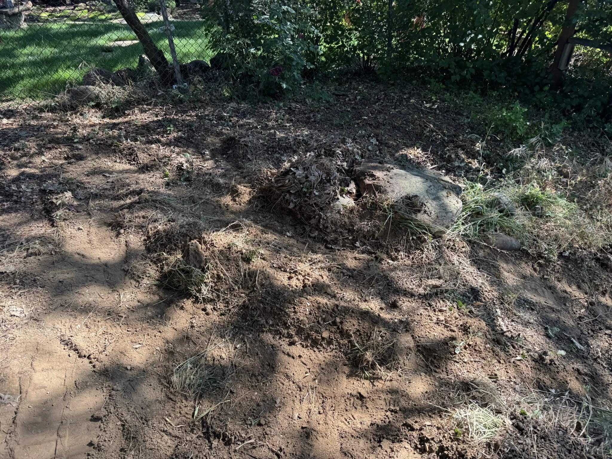 Before Front Yard