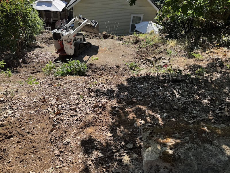 Before Photo Backyard