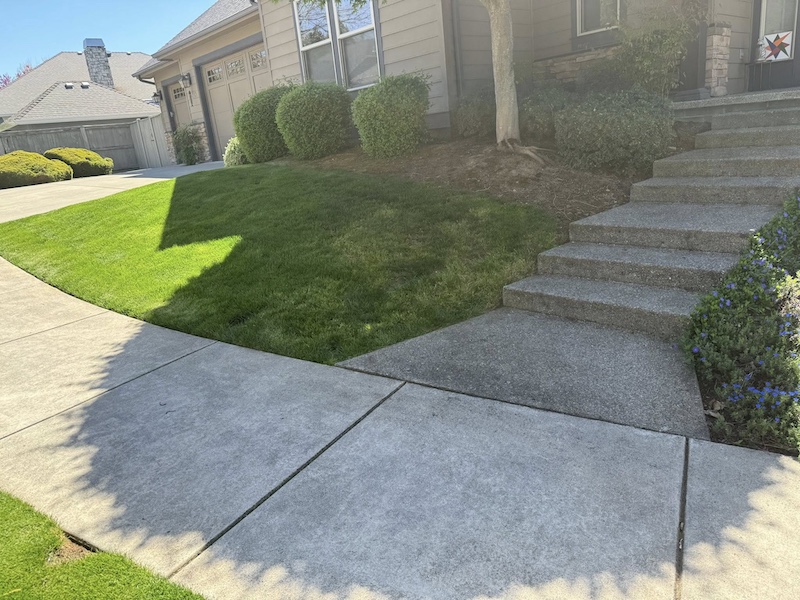 Before Front Yard