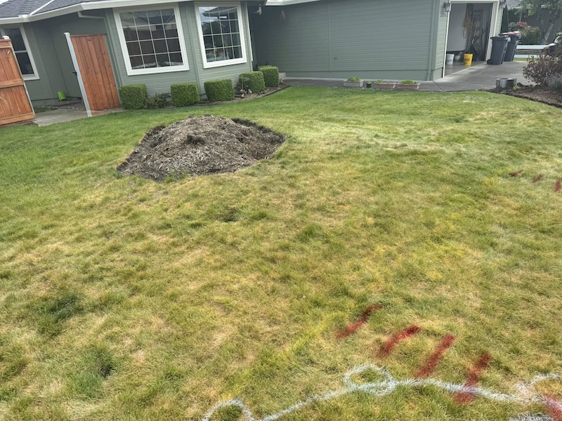 Before Photo -front yard