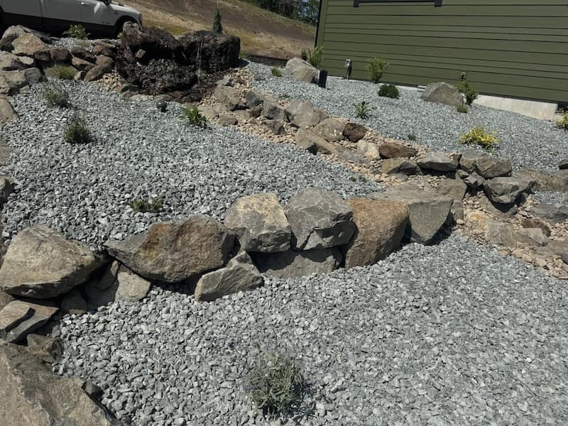 Eco-Friendly Landscape