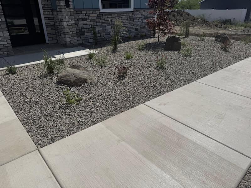 Zero Landscapng front yard