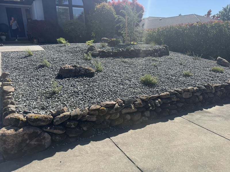 After Photo: natural rock retaining wall, xeriscaping, native plants and trees