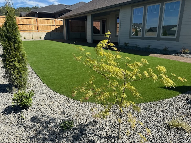 Native plants and sod in backyard