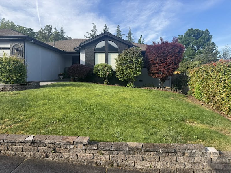 Before photos of frontyard  with grass, old brick retaining walls and bushes.