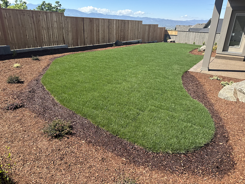 Front yard with Sod, Irrigation and native plants