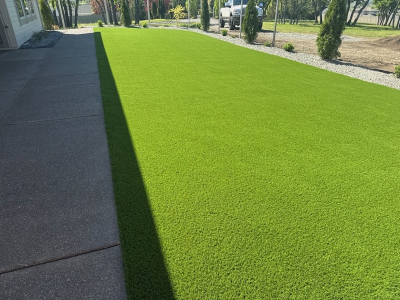 Astro turf in front yard
