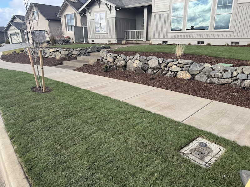 Front yard with Sod and Irrigation
