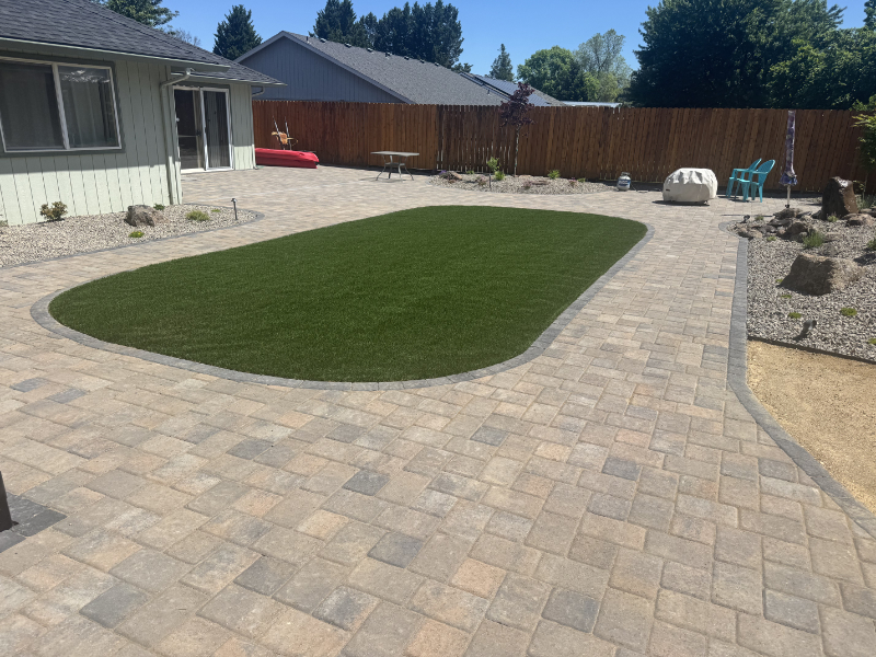 Native plants and sod in backyard