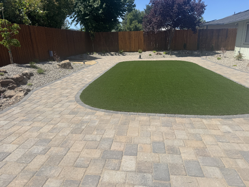 Native plants and sod in backyard
