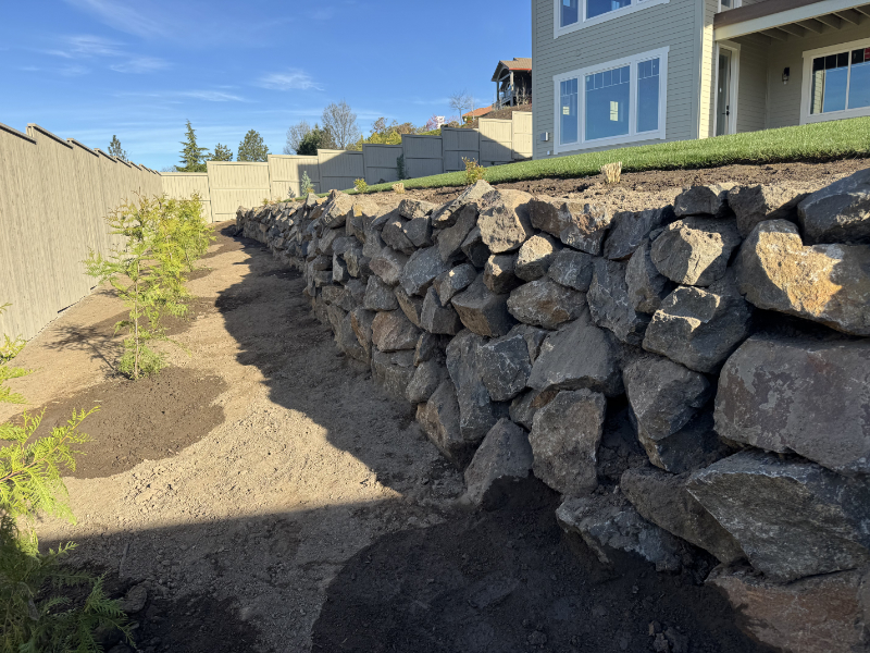 Backyard Natural Stone With Native Plants