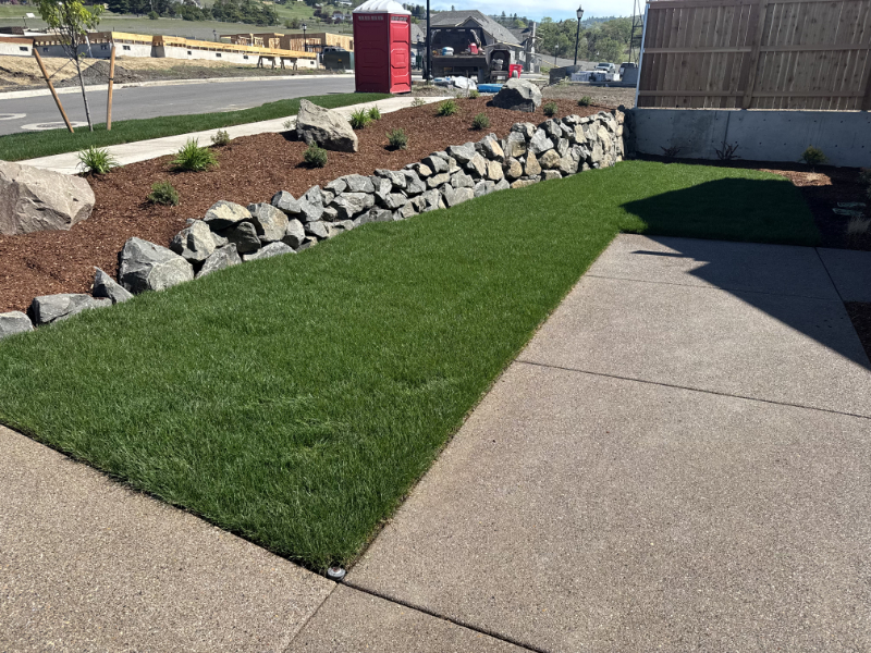 Front Yard Natural Stone