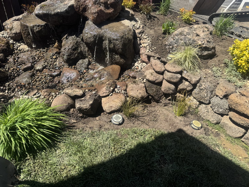 Corner Water Feature In Backyardt